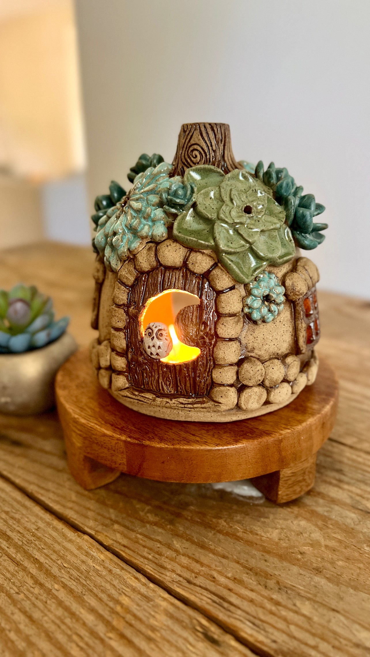 succulent fairy house luminary