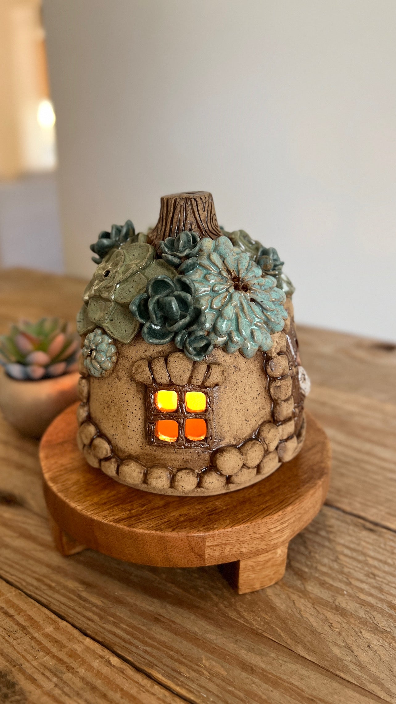 succulent fairy house luminary