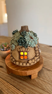 succulent fairy house luminary