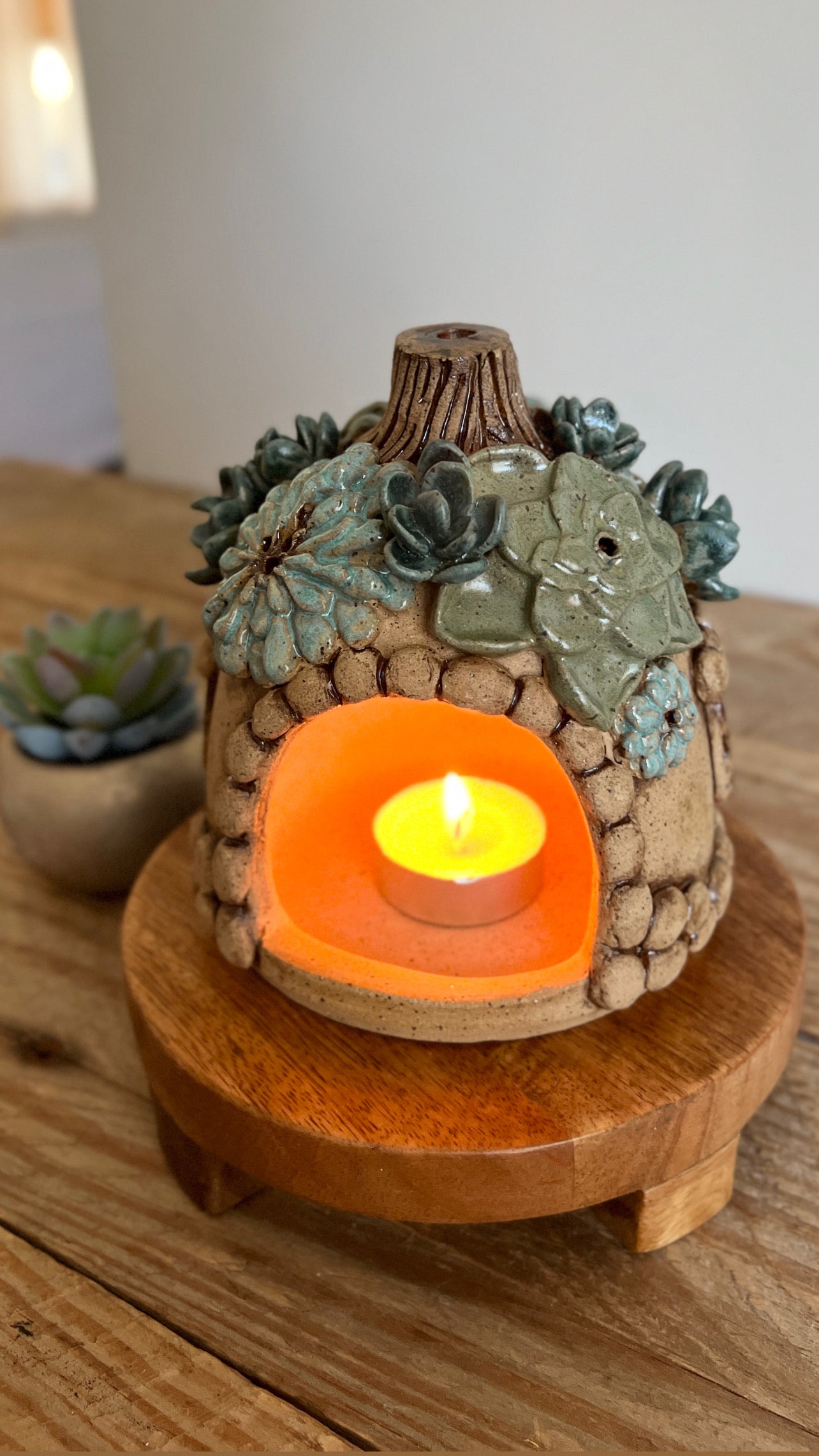 succulent fairy house luminary