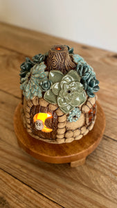 succulent fairy house luminary
