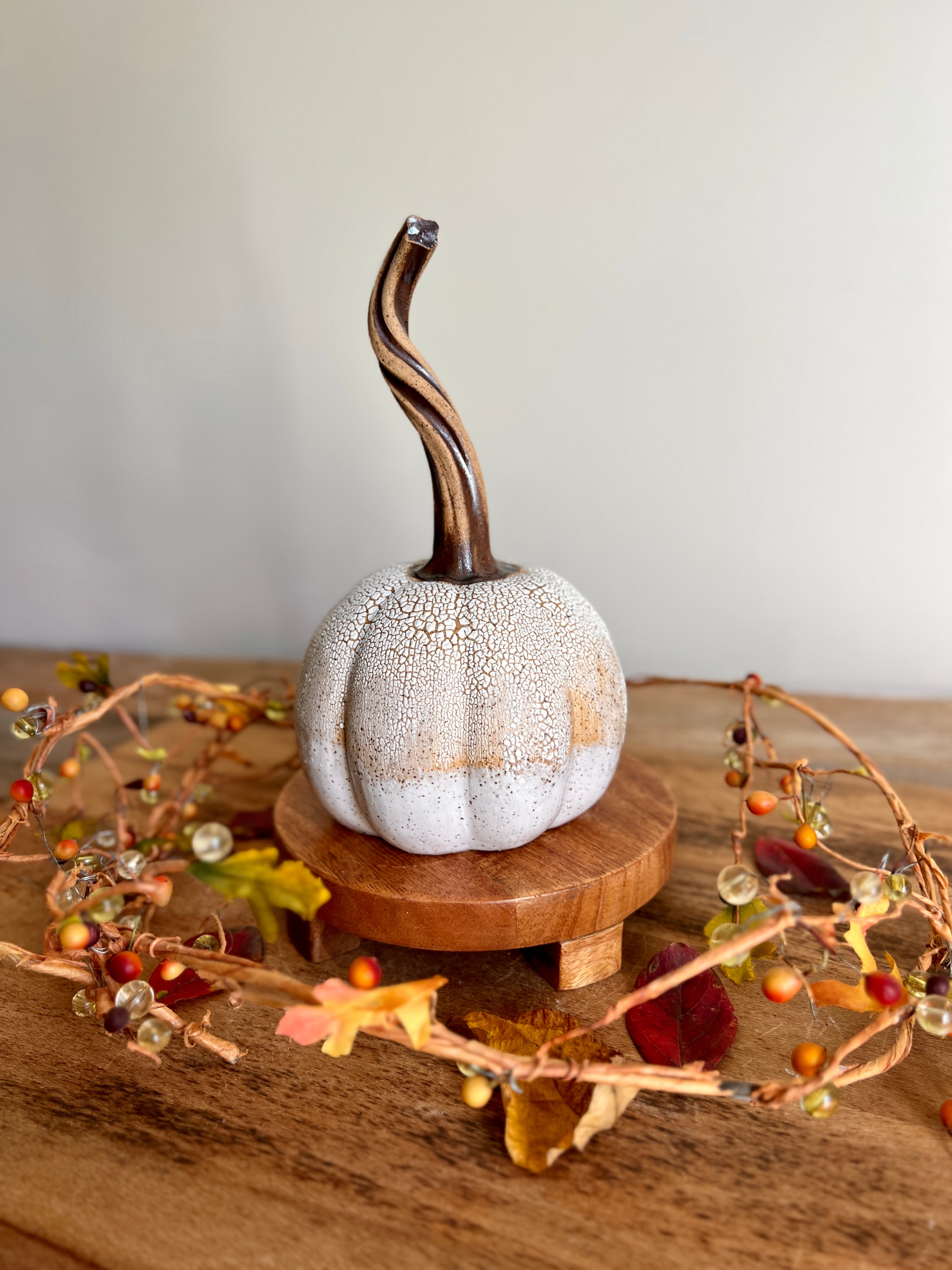 white crackle pumpkin #4