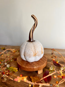 white crackle pumpkin #4