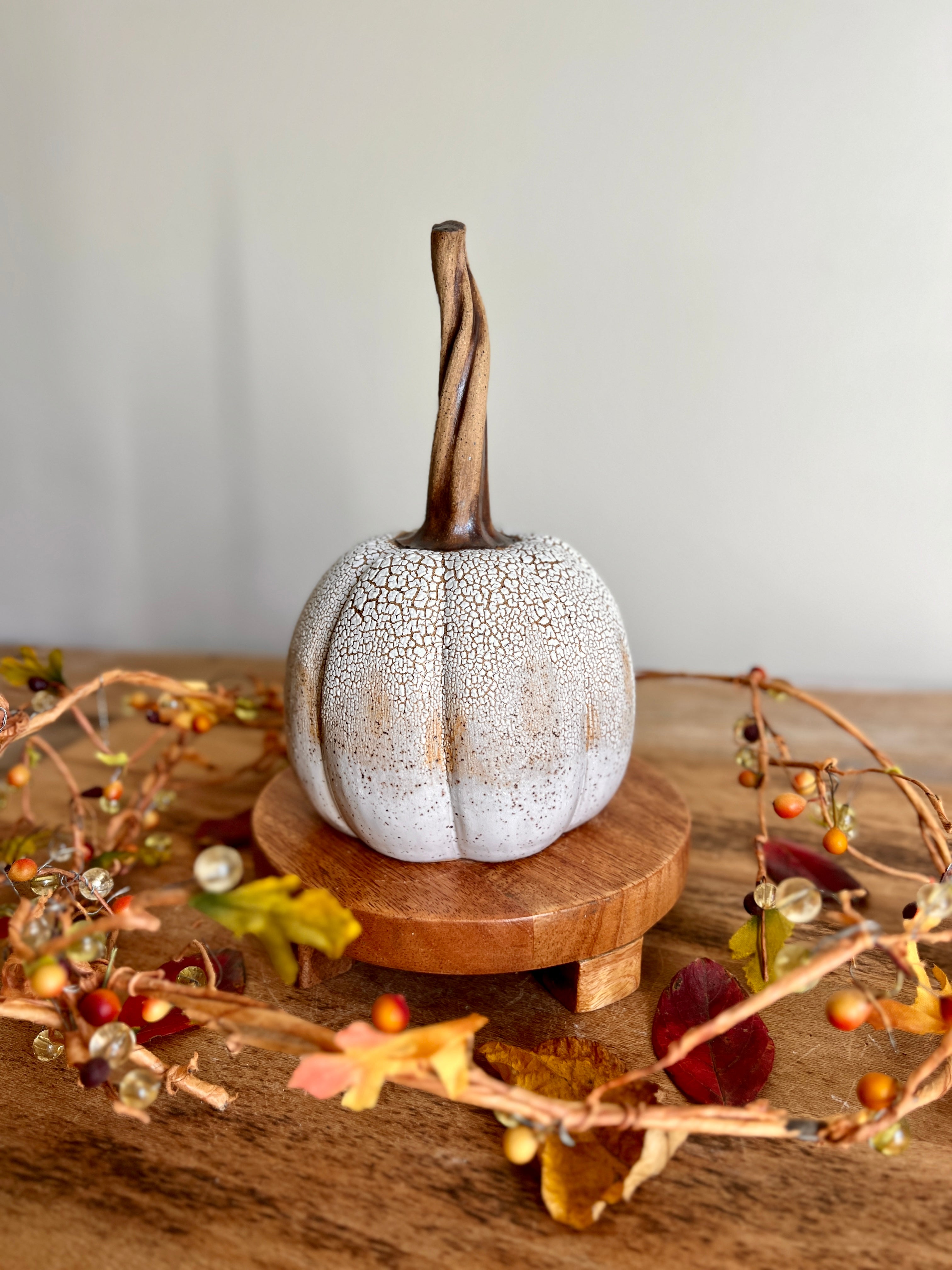 white crackle pumpkin #5