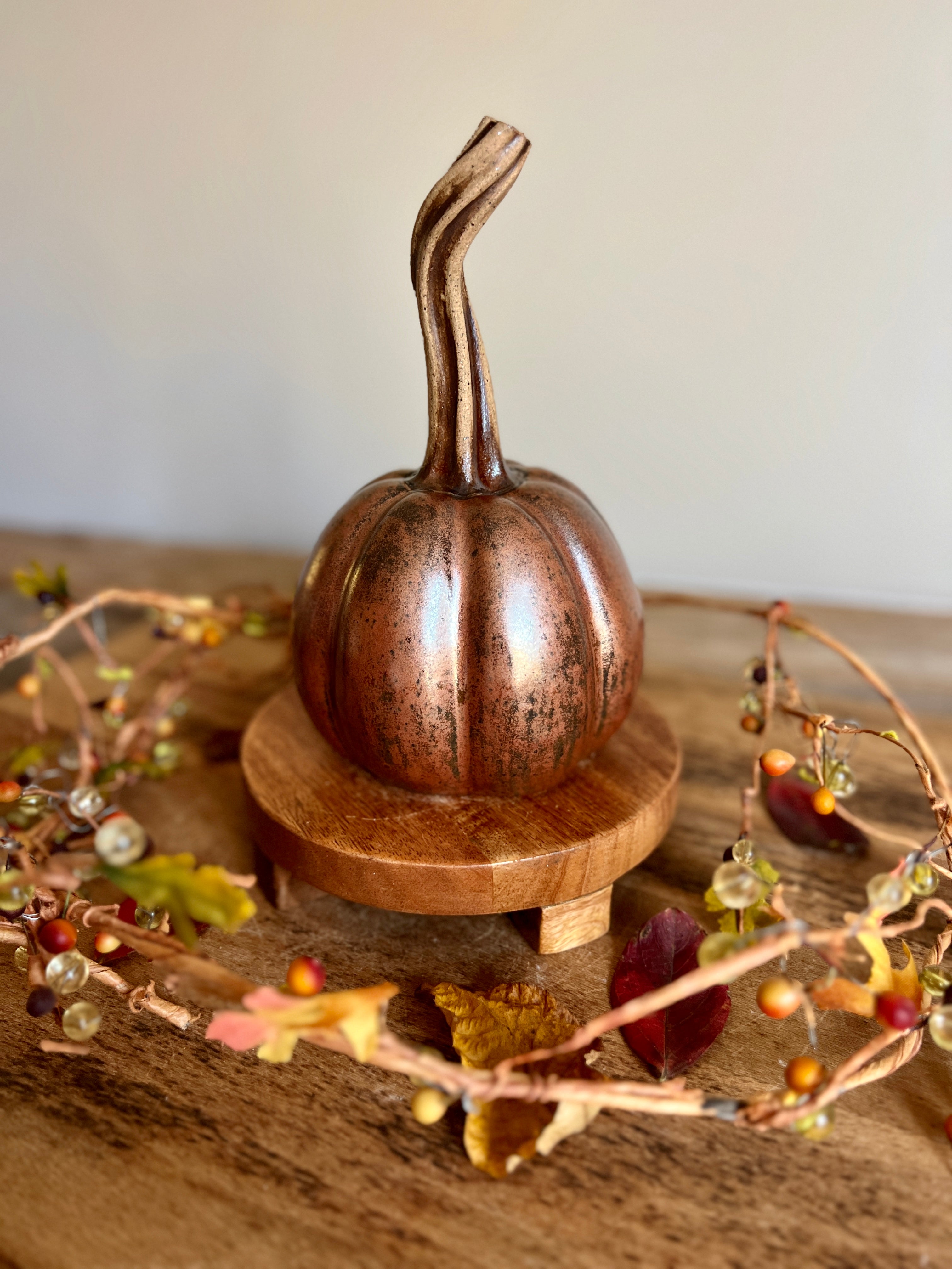 long stem copper pumpkin #4