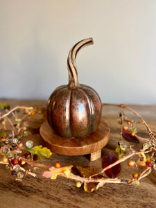 long stem copper pumpkin #7