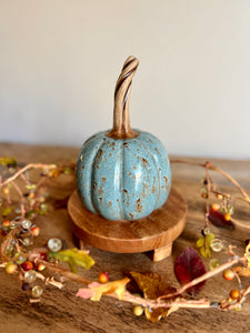 long stem blue pumpkin #3